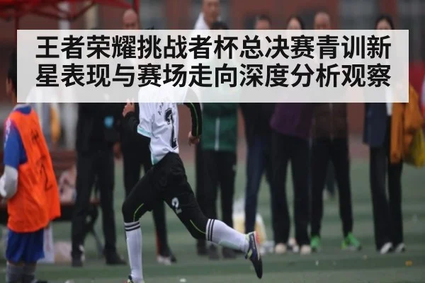 王者荣耀挑战者杯总决赛青训新星表现与赛场走向深度分析观察