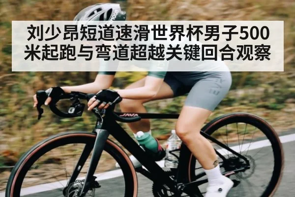 刘少昂短道速滑世界杯男子500米起跑与弯道超越关键回合观察